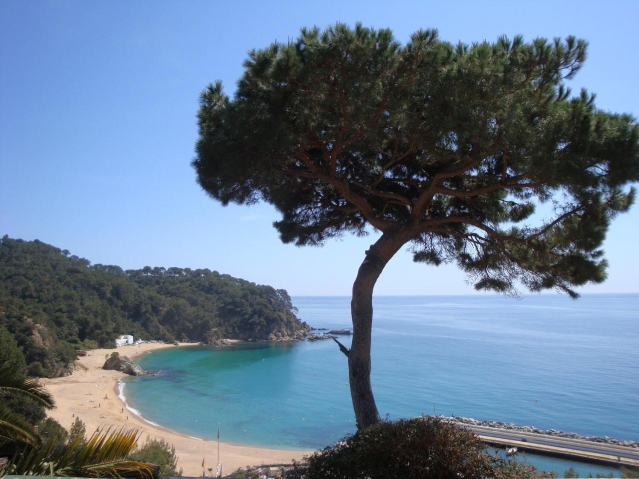Palmera Villa
